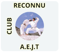 Académie de Ju-Jitsu Traditionnel (AEJT)